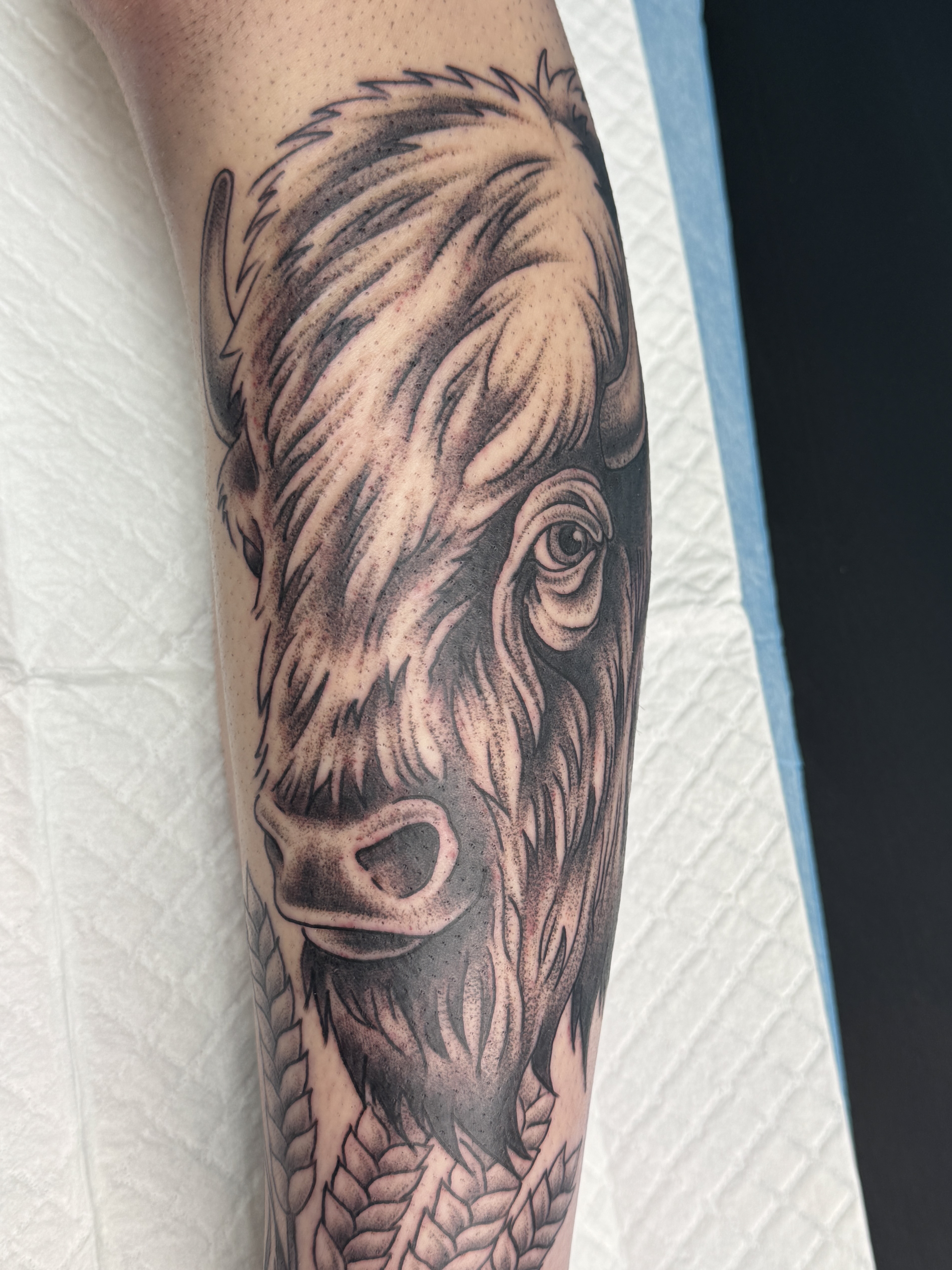 bison tattoo