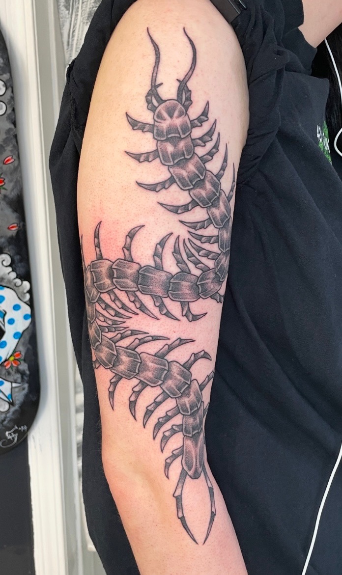 Illustrative black and grey centipede tattoo completed by Wesley Pretty in Sherwood Park Alberta