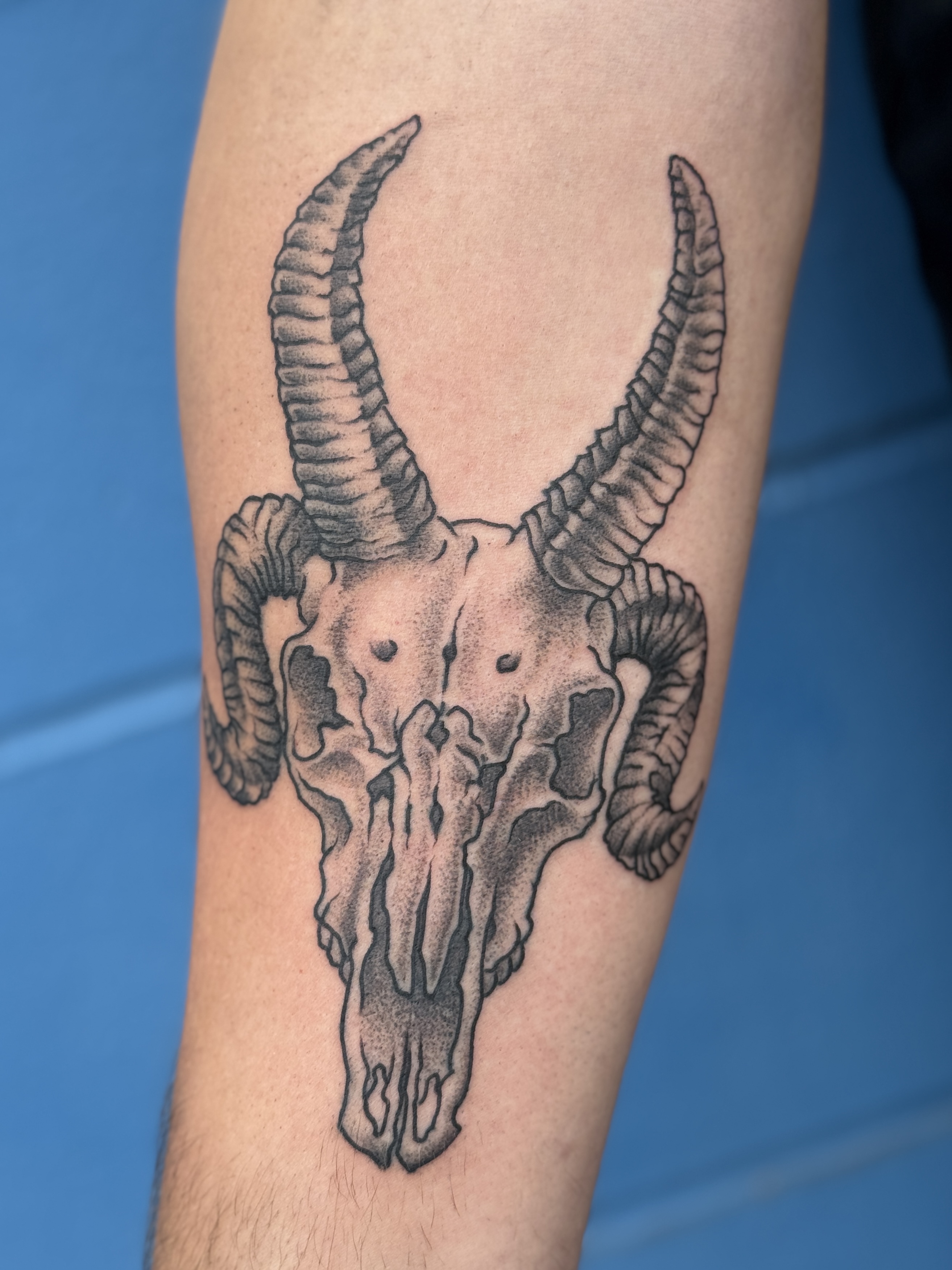 black and grey goat skull tattoo done by Wesley Pretty in Sherwood Park Alberta